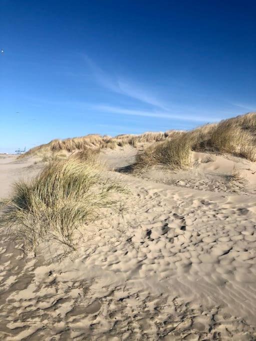 Charmant Zeehuys 100M Van Zee Dichtbij Brugge Blankenberge Esterno foto
