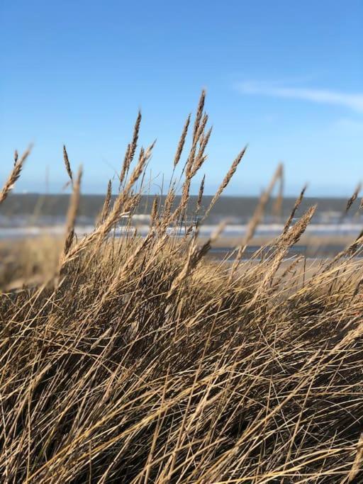 Charmant Zeehuys 100M Van Zee Dichtbij Brugge Blankenberge Esterno foto