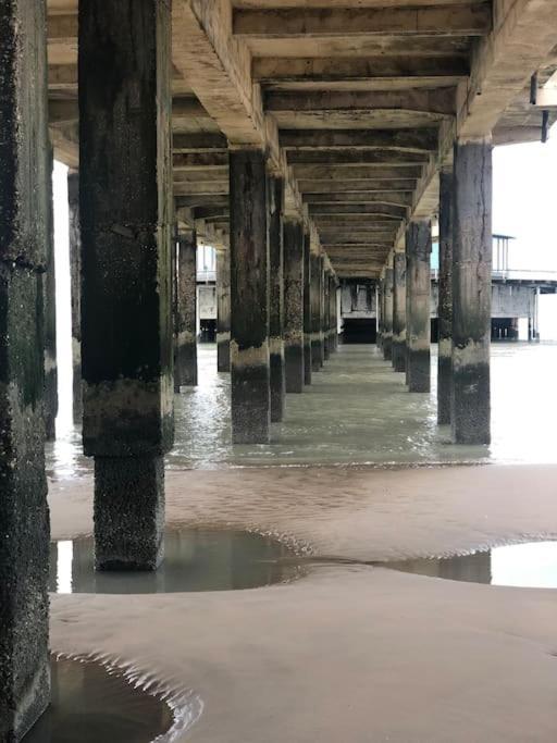 Charmant Zeehuys 100M Van Zee Dichtbij Brugge Blankenberge Esterno foto